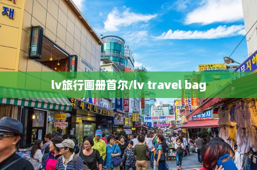 lv旅行画册首尔/lv travel bag