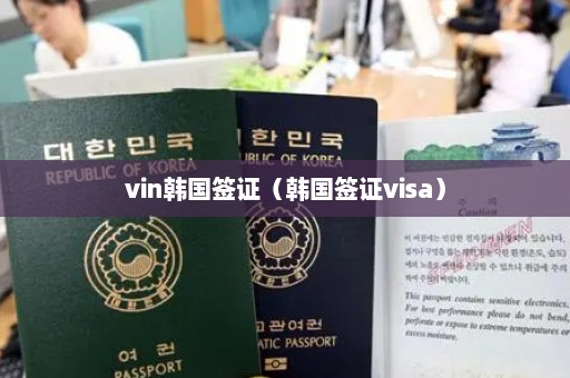 vin韩国签证（韩国签证visa）