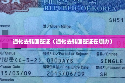 通化去韩国签证（通化去韩国签证在哪办）
