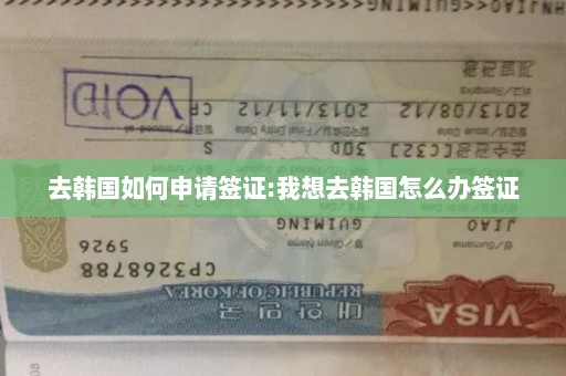 去韩国如何申请签证:我想去韩国怎么办签证