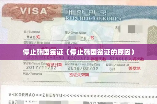 停止韩国签证（停止韩国签证的原因）