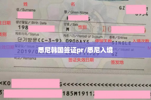 悉尼韩国签证pr/悉尼入境