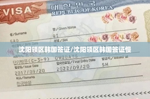 沈阳领区韩国签证/沈阳领区韩国签证慢