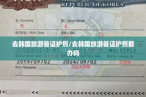 去韩国旅游签证护照/去韩国旅游签证护照能办吗