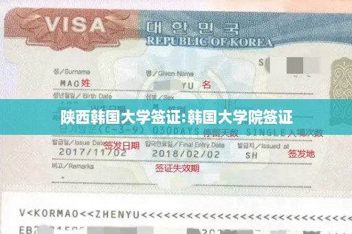 陕西韩国大学签证:韩国大学院签证