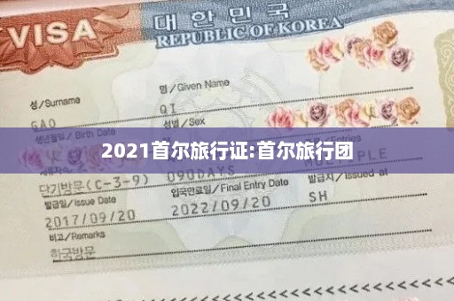 2021首尔旅行证:首尔旅行团