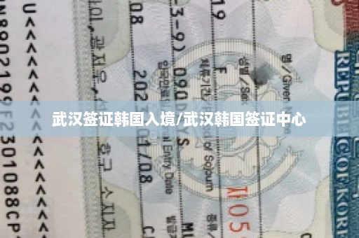 武汉签证韩国入境/武汉韩国签证中心
