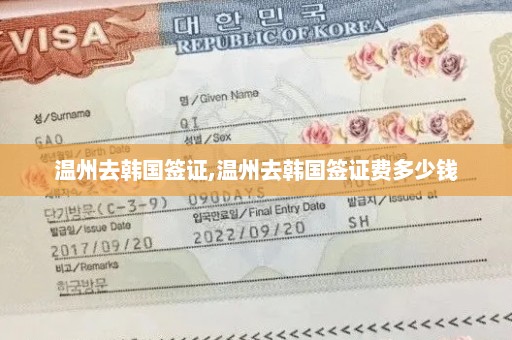 温州去韩国签证,温州去韩国签证费多少钱