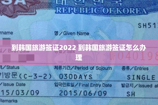 到韩国旅游签证2022 到韩国旅游签证怎么办理