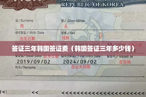 签证三年韩国签证费（韩国签证三年多少钱）