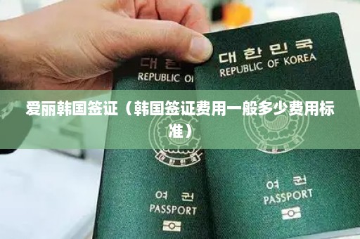 爱丽韩国签证（韩国签证费用一般多少费用标准）