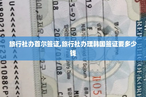 旅行社办首尔签证,旅行社办理韩国签证要多少钱