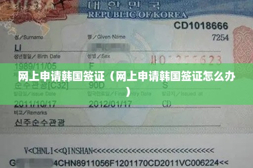 网上申请韩国签证（网上申请韩国签证怎么办）