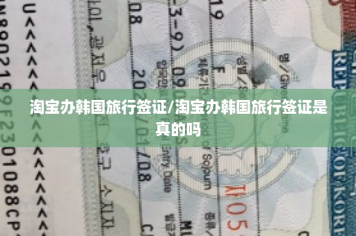 淘宝办韩国旅行签证/淘宝办韩国旅行签证是真的吗