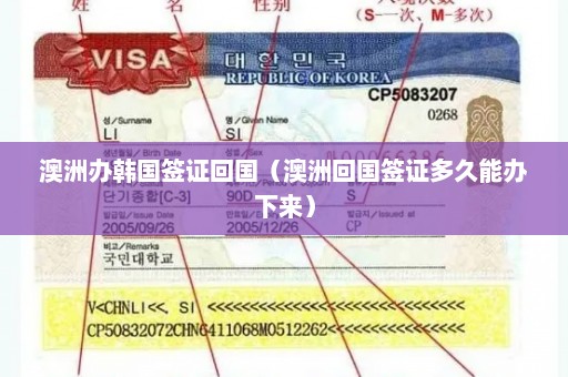 澳洲办韩国签证回国（澳洲回国签证多久能办下来）