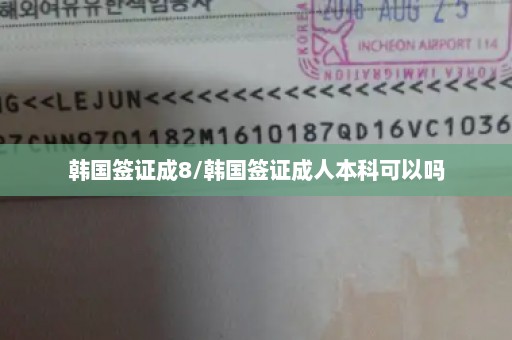 韩国签证成8/韩国签证成人本科可以吗