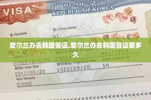 爱尔兰办去韩国签证,爱尔兰办去韩国签证要多久