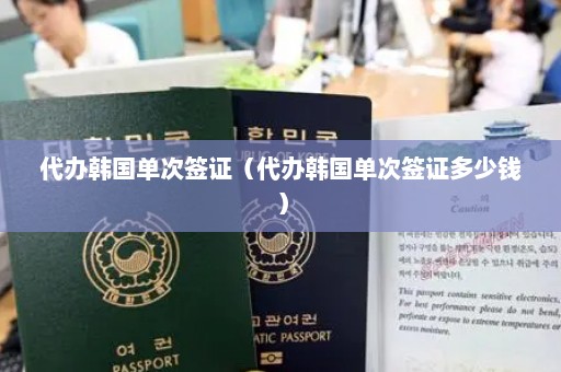 代办韩国单次签证（代办韩国单次签证多少钱）