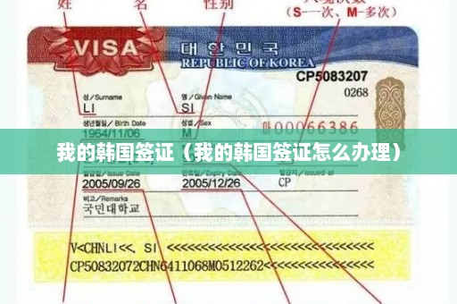 我的韩国签证（我的韩国签证怎么办理）