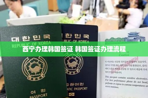 西宁办理韩国签证 韩国签证办理流程