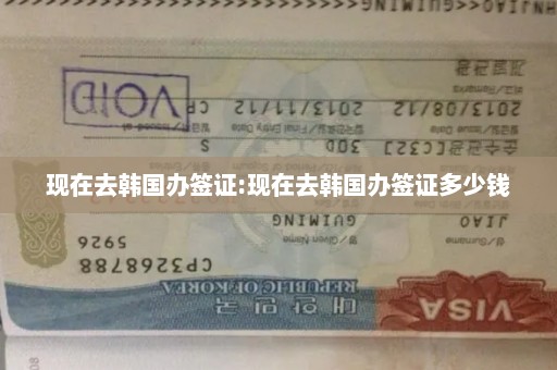 现在去韩国办签证:现在去韩国办签证多少钱
