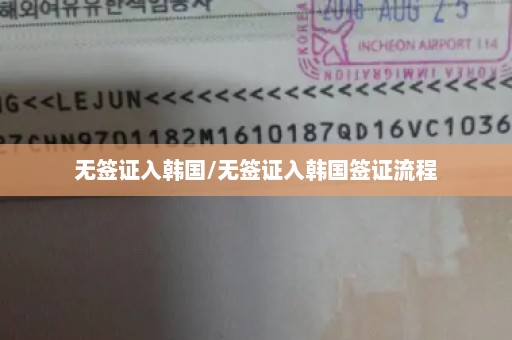 无签证入韩国/无签证入韩国签证流程
