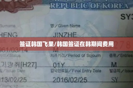 签证韩国飞果/韩国签证在韩期间费用