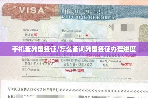 手机查韩国签证/怎么查询韩国签证办理进度