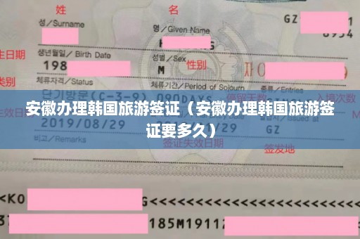 安徽办理韩国旅游签证（安徽办理韩国旅游签证要多久）