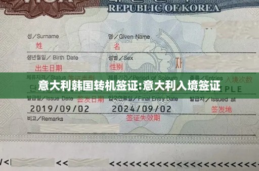 意大利韩国转机签证:意大利入境签证