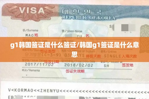 g1韩国签证是什么签证/韩国g1签证是什么意思