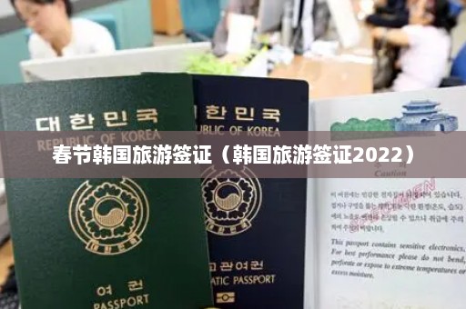 春节韩国旅游签证（韩国旅游签证2022）