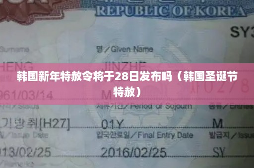 韩国新年特赦令将于28日发布吗（韩国圣诞节特赦）