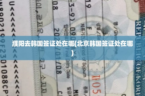 濮阳去韩国签证处在哪(北京韩国签证处在哪)