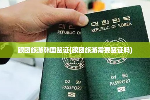 跟团旅游韩国签证(跟团旅游需要签证吗)
