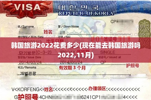 韩国旅游2022花费多少(现在能去韩国旅游吗2022,11月)