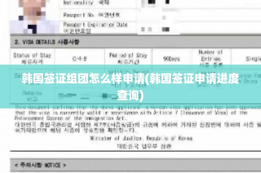 韩国签证组团怎么样申请(韩国签证申请进度查询)