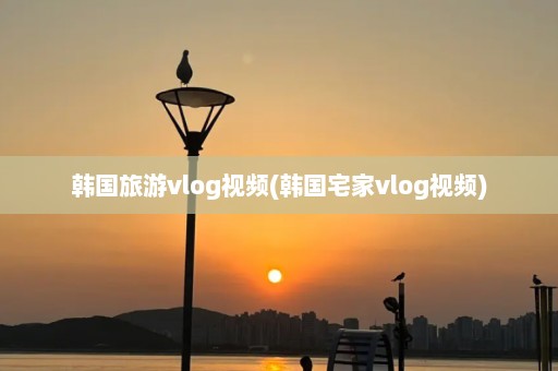 韩国旅游vlog视频(韩国宅家vlog视频)