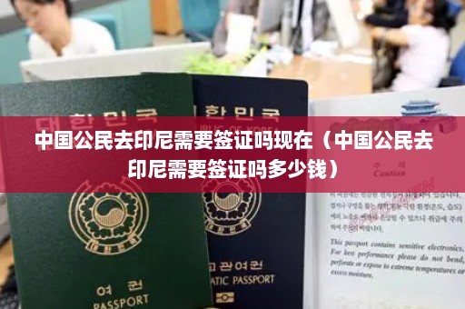 中国公民去印尼需要签证吗现在（中国公民去印尼需要签证吗多少钱）