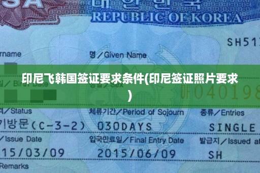 印尼飞韩国签证要求条件(印尼签证照片要求)