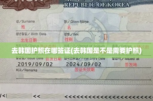 去韩国护照在哪签证(去韩国是不是需要护照)