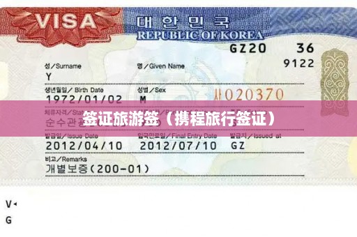 签证旅游签（携程旅行签证）