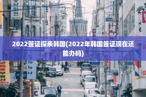 2022签证探亲韩国(2022年韩国签证现在还能办吗)