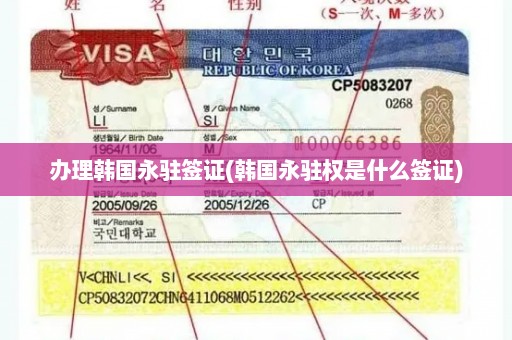办理韩国永驻签证(韩国永驻权是什么签证)