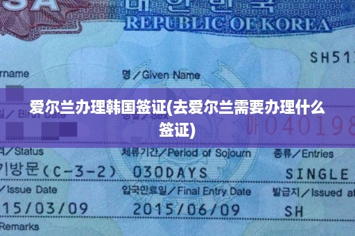 爱尔兰办理韩国签证(去爱尔兰需要办理什么签证)