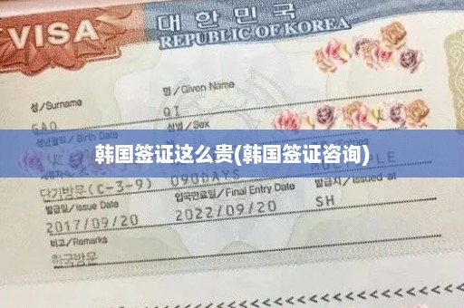 韩国签证这么贵(韩国签证咨询)