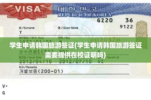 学生申请韩国旅游签证(学生申请韩国旅游签证需要提供在校证明吗)