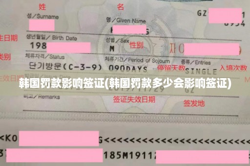 韩国罚款影响签证(韩国罚款多少会影响签证)