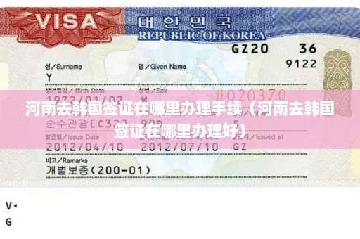 河南去韩国签证在哪里办理手续（河南去韩国签证在哪里办理好）