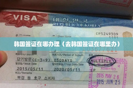 韩国签证在哪办理（去韩国签证在哪里办）